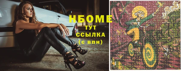гашик Алексеевка