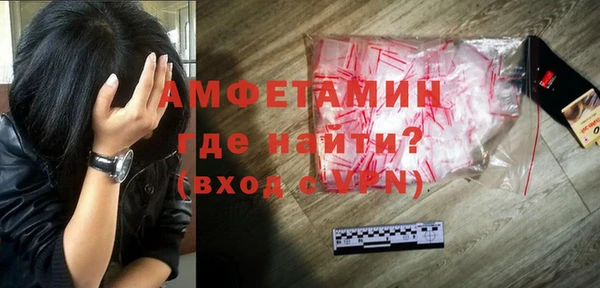 гашик Алексеевка