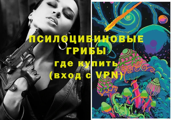 гашик Алексеевка